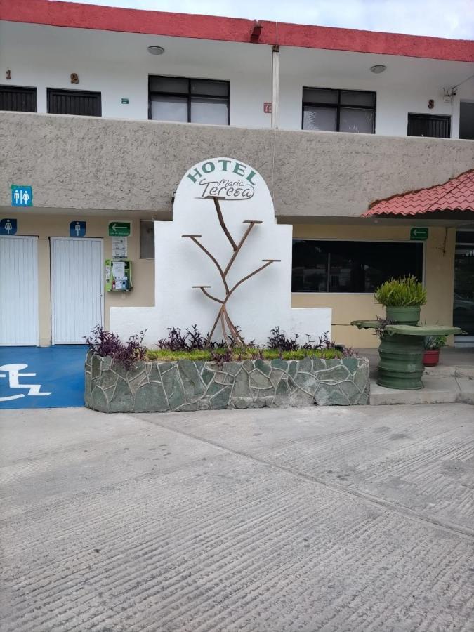 Hotel Maria Teresa Río Verde Eksteriør billede